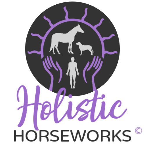 holistic horseworks logo