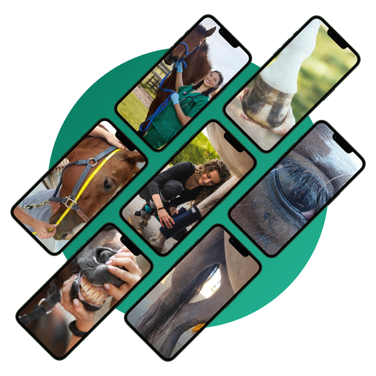 seven app collage