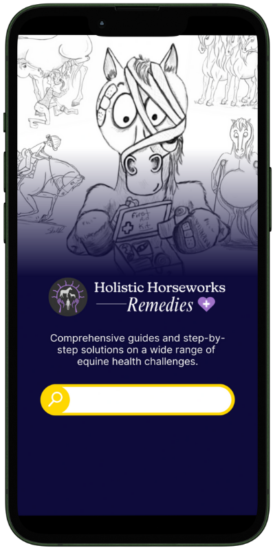 App Mock Up 400 x 800